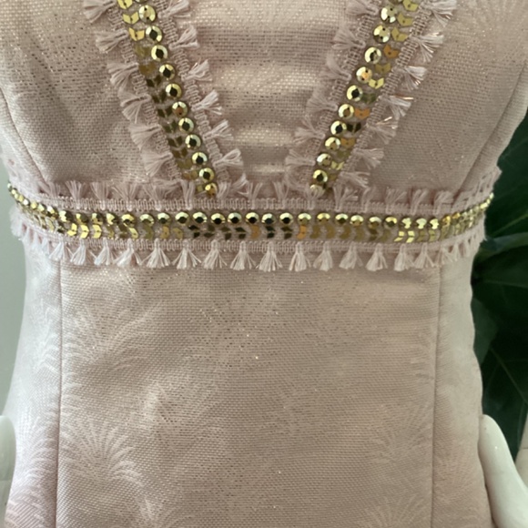 NEW LILLY PULITZER BLUSH PINK BEADS EMBELLISHED SPARKLY DRESS SZ 6 - Picture 4 of 16